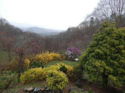 Thankful for Rain Thankful for Rain