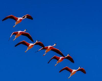 BOLIVIA: Unfinished Business--Return Trip by Guest Poster Owen Floody