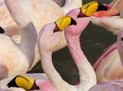 BOLIVIA: Unfinished Business--Return Trip Guest Poster Owen Floody