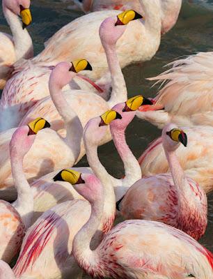 BOLIVIA: Unfinished Business--Return Trip by Guest Poster Owen Floody