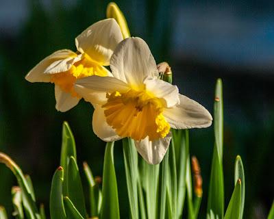 A selection of recent photos