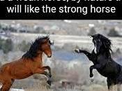 Strength Leadership