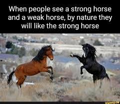 Strength and Leadership
