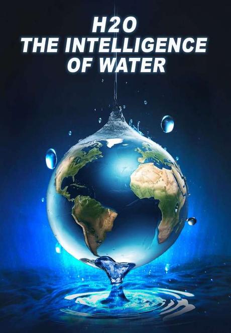 H20: The Intelligence of Water (2025) Movie Review