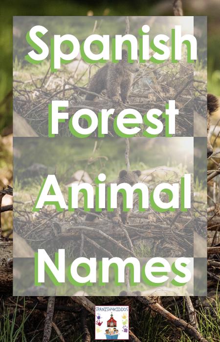 forest animal names