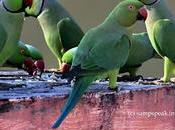 Good, Bad, Ugly Mind