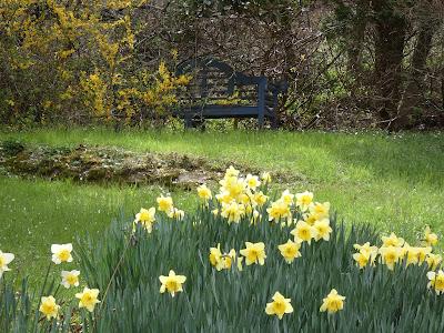 Blue Benches, Yellow Flowera