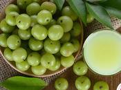 Cooling Amla Mint Juice Recipe Kids