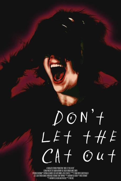 Don’t Let the Cat Out (2025) Movie Review