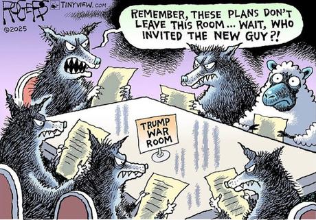 A Sheep In The Meeting Of Wolves