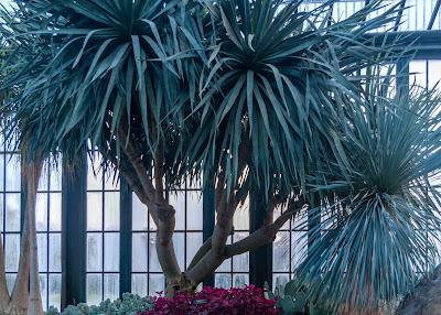 Claude identifies Longwood Gardens from three photographs