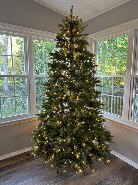 Bring Home Holiday Magic with a King of Christmas Tree Bring Home Holiday Magic with a King of Christmas Tree