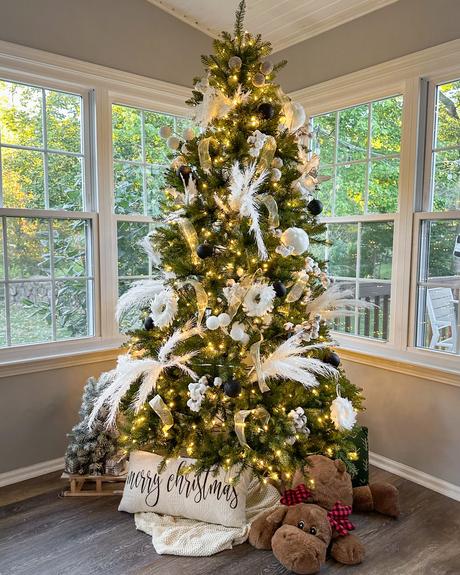 Bring Home Holiday Magic with a King of Christmas Tree Bring Home Holiday Magic with a King of Christmas Tree