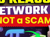 Reason Network Scam