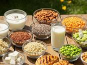 Protein Rich Food Summer Healthy Diet