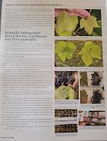 EWE25:  Solving a Grape’s Identity: Using DNA or Ampelography? Norton or Cynthiana