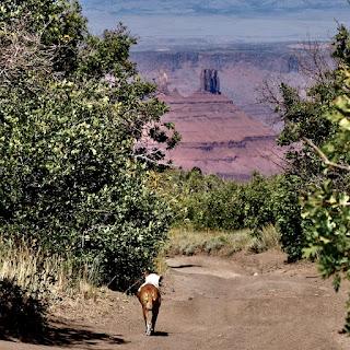 Peculiar Eruptive Mountains on the Colorado Plateau