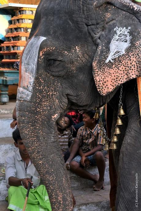 Elephant at Temple ~ யானையின் மணிகளும் Elephant at Temple ~ யானையின் மணிகளும்