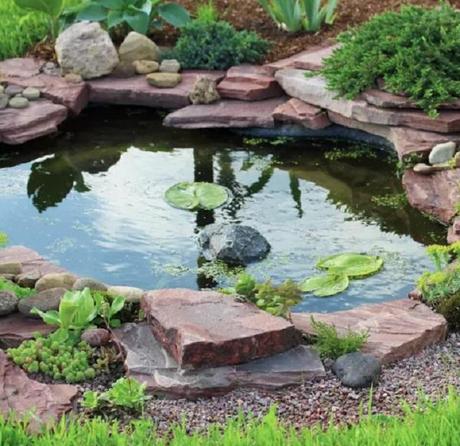 Clear Water, Happy Fish: 10 Garden Pond Cleaning Tricks