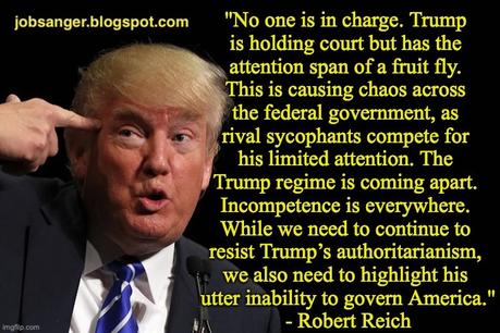 Stupidity And Incompetence Mark The Trump Administration