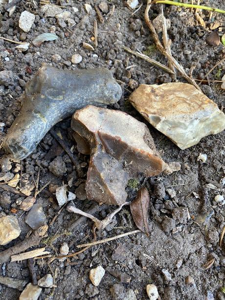 Kingship.Choice.Discipleship.  Palm Sunday 2025