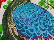 Claude Describes Line Drawing Peacock Colored Realistic