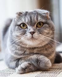 AI: The Consciousness Problem AI: The Consciousness Problem