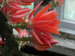 This and the Other This and the Other