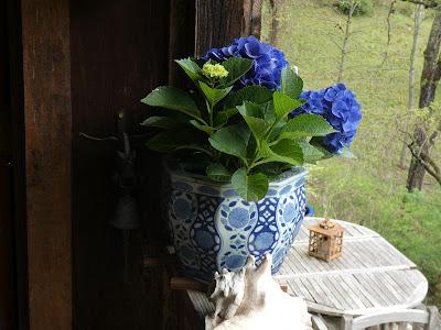 This and the Other This and the Other