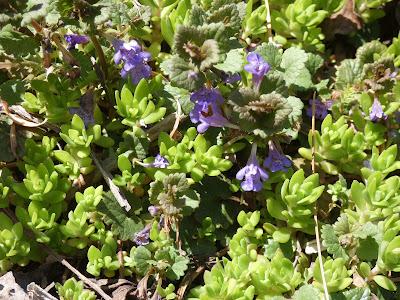 Tax Day--But Not in NC