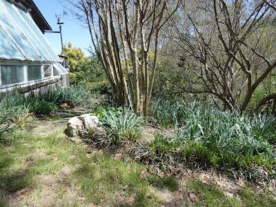 Tax Day--But Not in NC