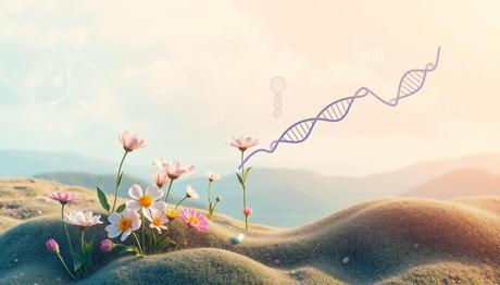 fertility treatment progress