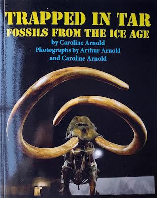 CALIFORNIA OUT OF THE BOX: Making History Fun for Kids