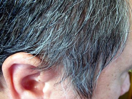 Grey Hair: Top 10 Myths and Facts Explained Grey Hair: Top 10 Myths and Facts Explained