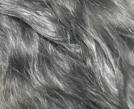 Grey Hair: Top 10 Myths and Facts Explained Grey Hair: Top 10 Myths and Facts Explained