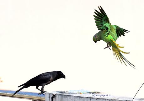 Who is beautiful ! - where is happiness !?!? Who is beautiful ! - where is happiness !?!?