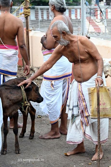 Compassion !! ஐம்பதிலும் ஆசை வரும் !!! Compassion !! ஐம்பதிலும் ஆசை வரும் !!!