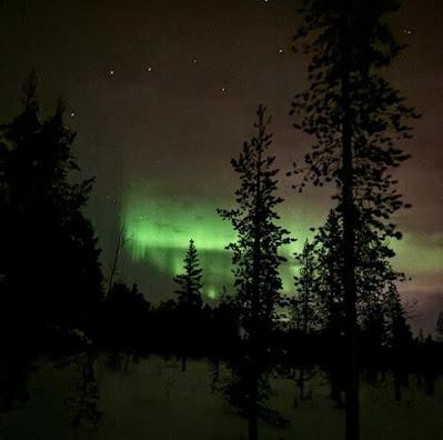 FINLAND IN WINTER: Searching for the Northern Lights, Guest Post by Ann Whitford Paul FINLAND IN WINTER: Searching for the Northern Lights, Guest Post by Ann Whitford Paul