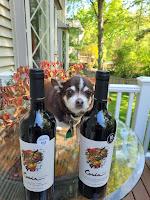 Domaine Bousquet, GAIA, and Regenerative Farming