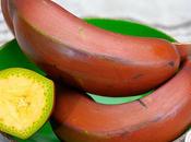 Make Banana Dates Puree Babies Home