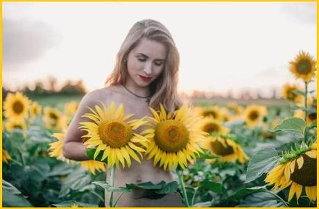 Bedazzled By Sunflowers