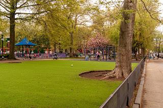 A new green day in the park