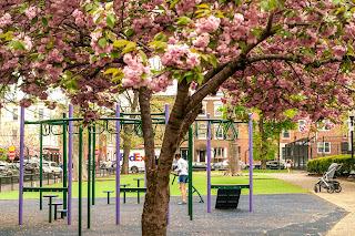 A new green day in the park