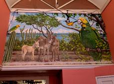 TRIP TO BONAIRE AND CURACAO—NOT A CRUISE: Guest Post by Sara Kras