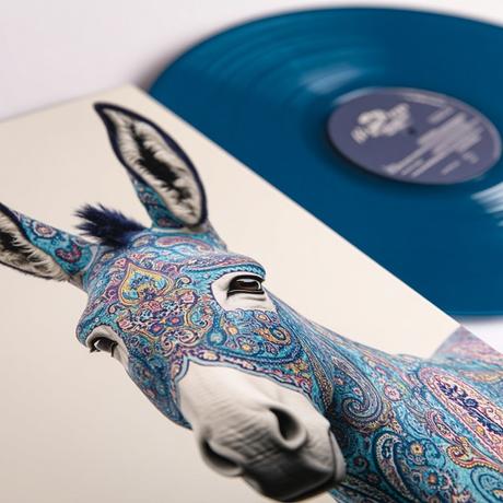 Ten Amazing Things to Can Do With Vinyl Records