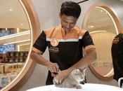 Starlux Hotel Ideal Home Away From Pets