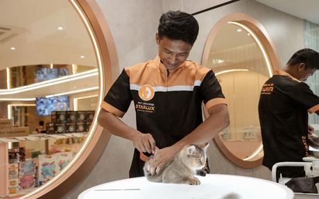 Why Starlux Pet Hotel Is the Ideal Home Away From Home for Pets Luxury Pet Hotel and Pet Grooming in Malaysia | Pet Universe