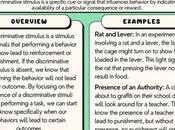 Discover Discriminative Stimulus Examples Effective Behaviors Training