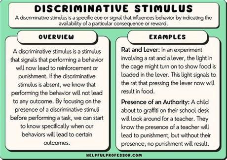 Discover Discriminative Stimulus Examples for Effective Behaviors Training Discriminative Stimulus Examples