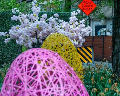 Easter eggs, lilacs, rose, lilacs, Easter eggs